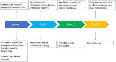 Ceftriaxone-induced cholestatic hepatitis in a child: A case report and a review of the literature